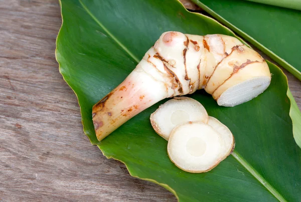 Galanga (Alpinia galanga) — Stock Photo, Image