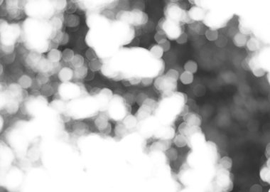 Doğal bokeh arka plan gri filtre.