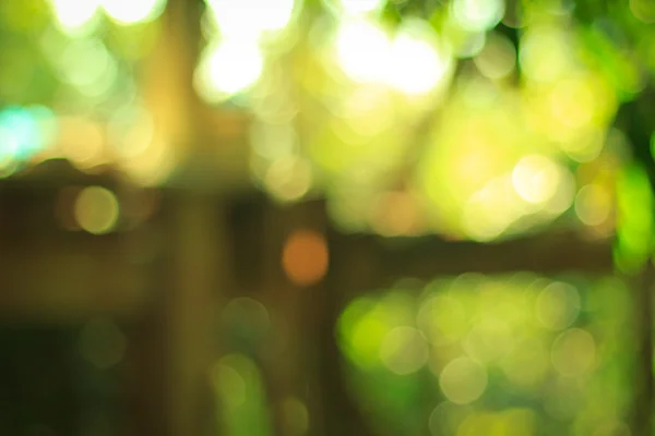 Natural green blurred background. Defocused green abstract backg