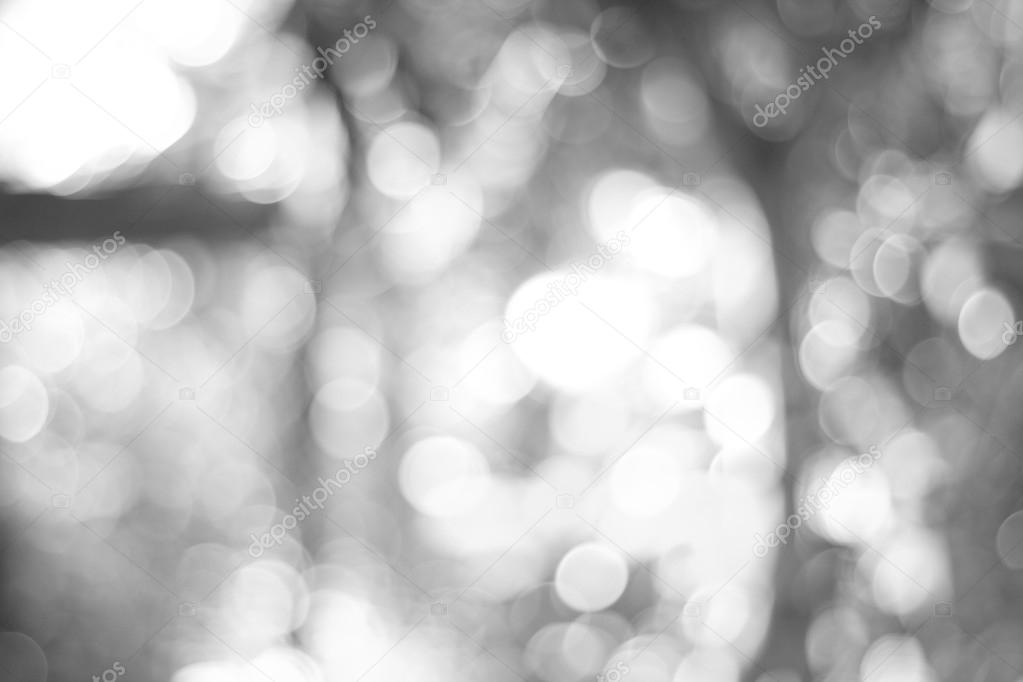 Filterred Grey Gradient Blurred Natural Background Stock Photo