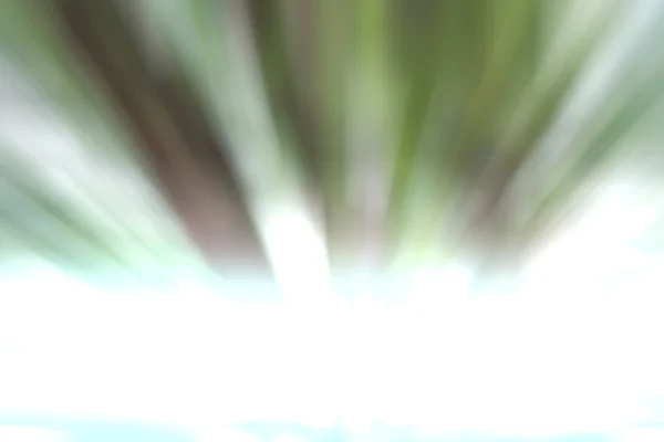 Φυσικό πράσινο φόντο θολή. Defocused πράσινο αφηρημένη backg — Φωτογραφία Αρχείου