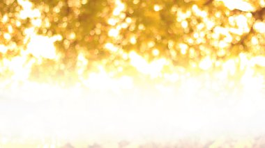 Ufuk bulanık altın sarı arka plan. Filtre uygulanmış colo