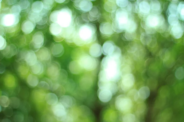 Sfondo naturale verde sfocato. Backg astratto verde sfocato — Foto Stock