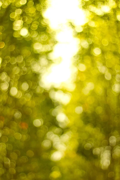 Natural green blurred background. Defocused green abstract backg — Stock Photo, Image