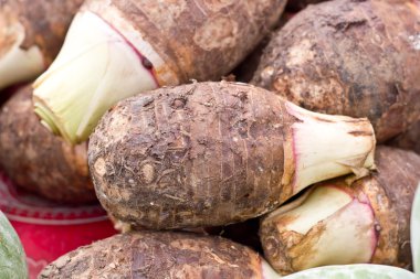 Taro yerel pazar perakende satış için.