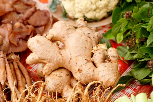 Ginger root. — Stock Photo, Image