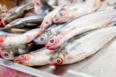 Piyasada taze balık