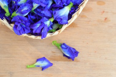Taze kelebek bezelye çiçek, Clitoria ternatea ahşap tahta üzerinde