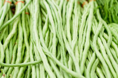 bahçede uzun fasulye.