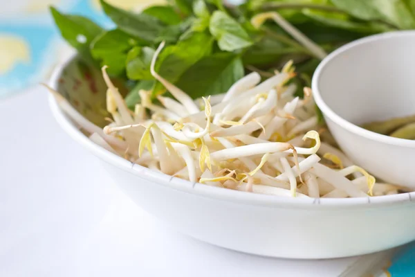 Mung beans or bean sprouts on white plates. — Stock Photo, Image