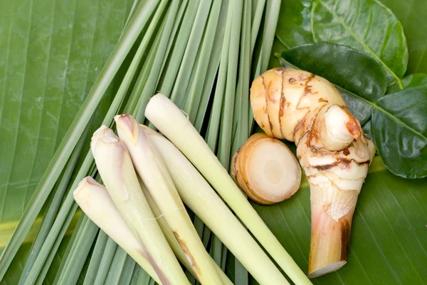 Lemon grass. — Stock Photo, Image