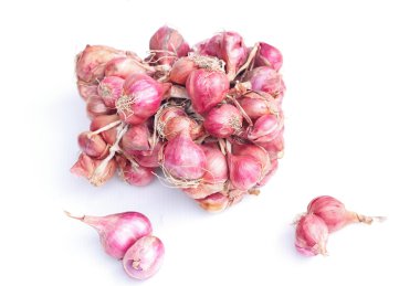 kırmızı yeşil soğan.