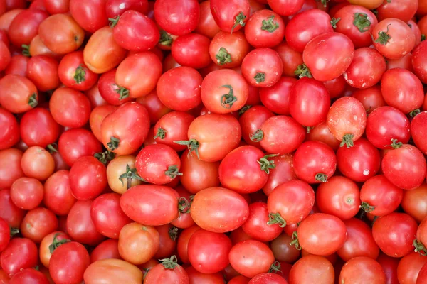 Grupo de tomates frescos — Fotografia de Stock