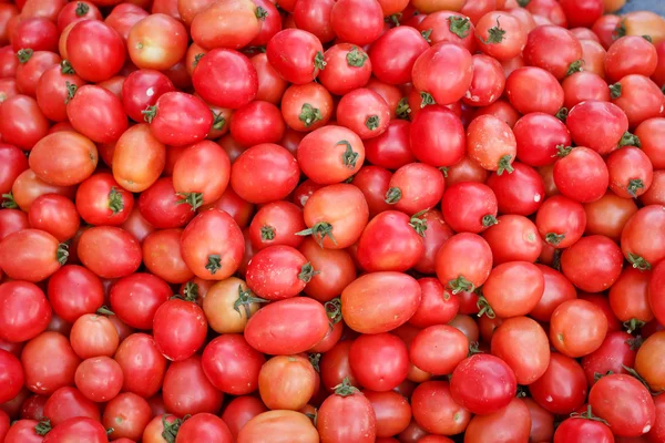 Bir grup taze domates. — Stok fotoğraf