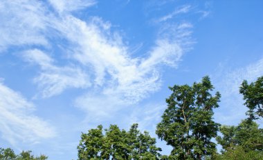Bulutlu mavi gökyüzü arkaplanı.