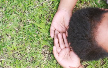 Yaz güneşin yeşil çimenlerin üzerinde rahatlatıcı.