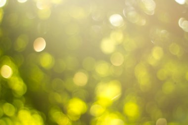 Doğal yeşil arka plan bulanık. Ufuk yeşil soyut backg