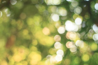 Doğal yeşil arka plan bulanık. Ufuk yeşil soyut backg