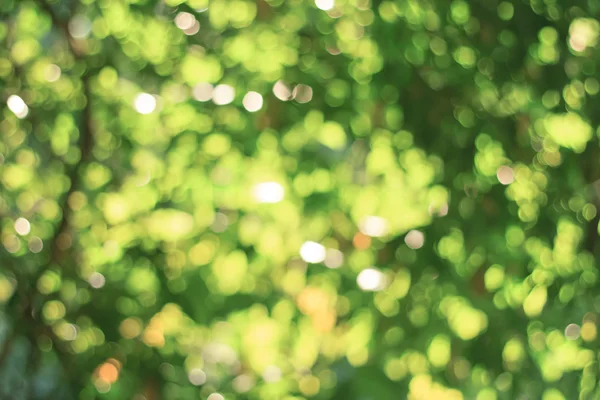 Natural green blurred background. Defocused green abstract backg — Stock Photo, Image