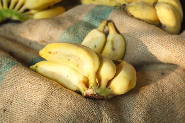 Ramo de plátanos fruta sobre fondo de tela de saco de cáñamo . —  Fotos de Stock