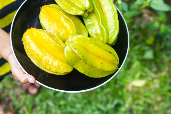 En pojke håller många star apple på händerna. — Stockfoto