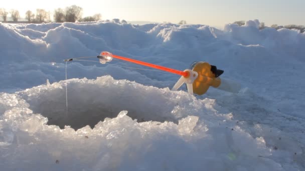 Pêche d'hiver — Video