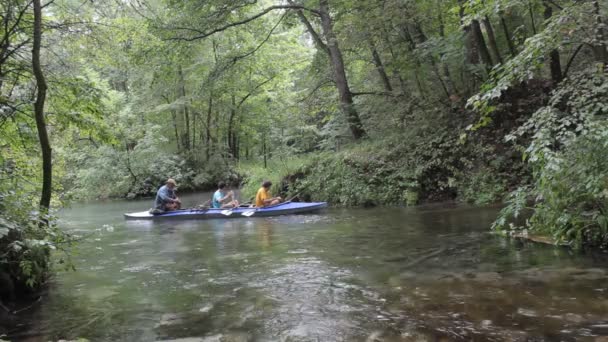 Floresta de outono e rio — Vídeo de Stock