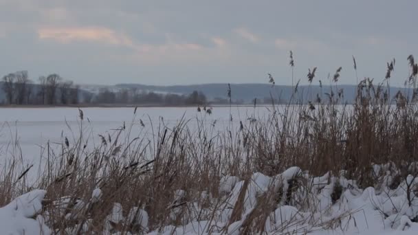 Pesca de invierno — Vídeo de stock