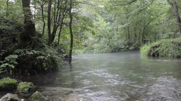 Herbstwald und Fluss — Stockvideo