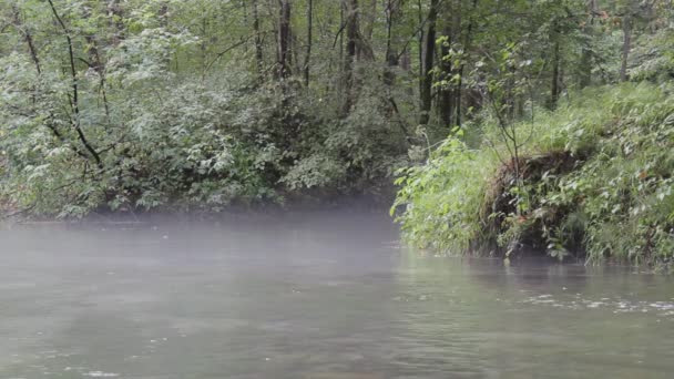 Forêt d'automne et rivière 