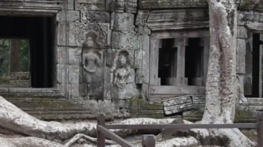 Kamboçya Angkor Tapınağı