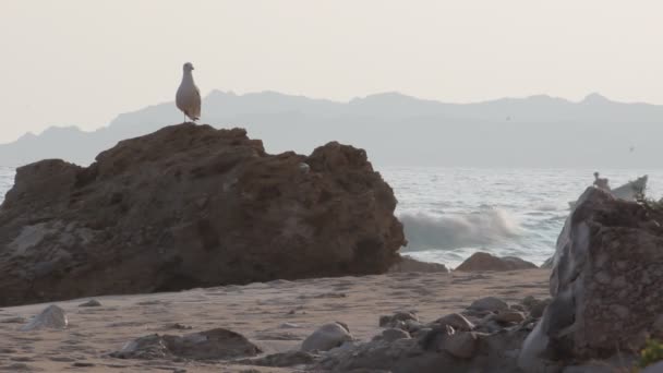 Pueblo de pescadores — Vídeos de Stock