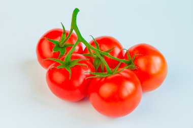Taze ve olgun domatesler