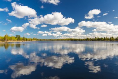 Yaz aylarında göl manzara