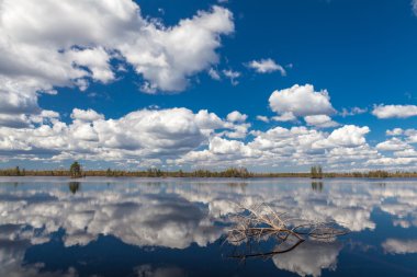 Göl manzara mavi gökyüzü ve kırık ağaca su ile yaz aylarında