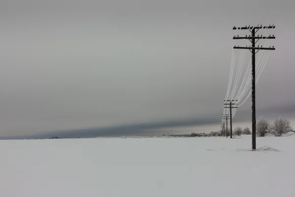 Líneas eléctricas con escarcha en el poste eléctrico de madera en el campo en el invierno — Foto de Stock
