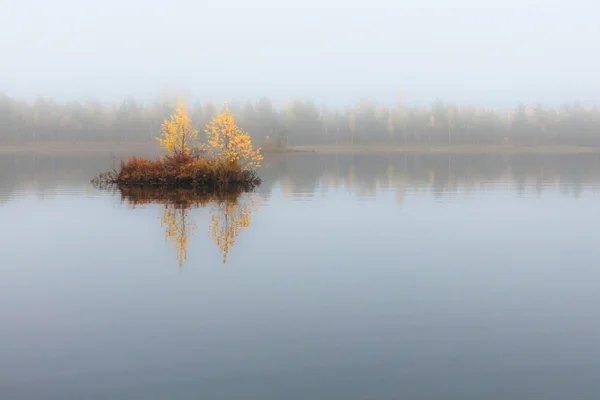Herbstlandschaft am See mit winziger Insel mit Bäumen und gelben Blättern — Stockfoto