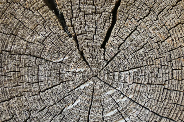 La textura de la madera vieja, bloque de madera — Foto de Stock