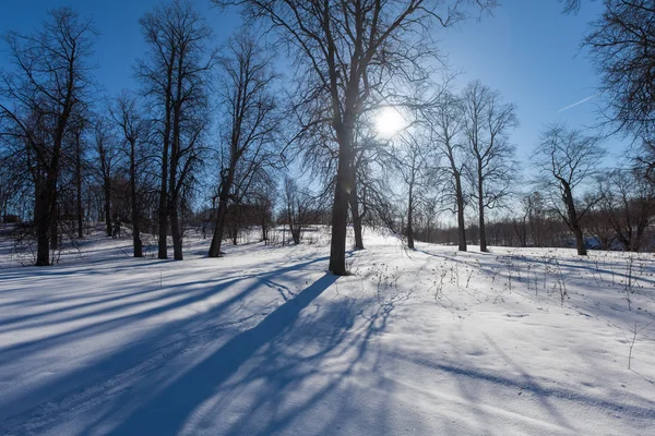 Der Winterpark mit Schnee — Stockfoto