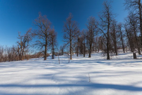 Der Winterpark mit Schnee — Stockfoto