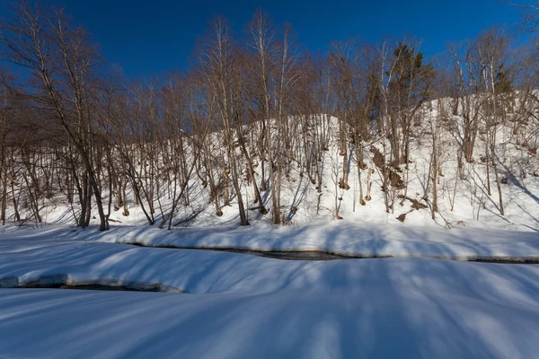 Der winterliche Fluss mit Schnee — Stockfoto