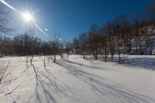 Der Winterpark mit Schnee und Schatten — Stockfoto