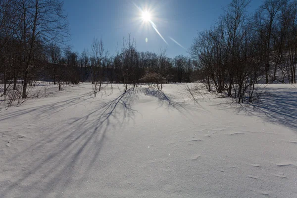 Der Winterpark mit Schnee und Schatten — Stockfoto