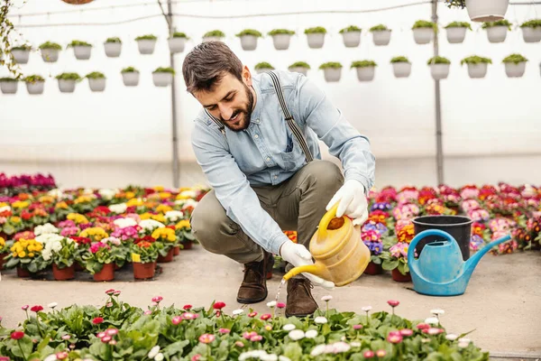 Mladý Usmívající Pozitivní Zahradník Zalévání Květiny — Stock fotografie