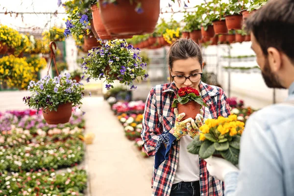 Gyönyörű Női Kertész Kezében Virágokkal Szaga Van Előtérben Kollégája Szelektív — Stock Fotó