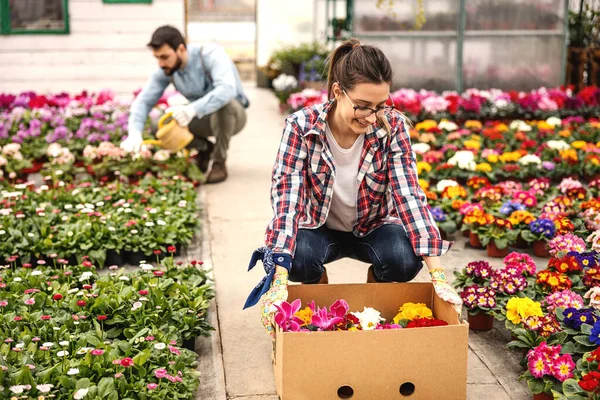 Muda Tersenyum Berdedikasi Penjual Bunga Mengambil Kotak Dengan Perintah Interior — Stok Foto