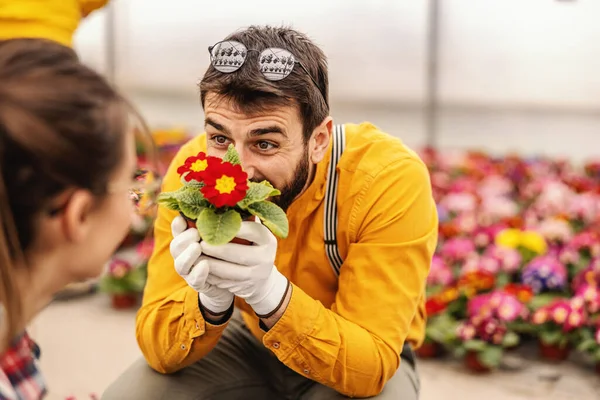 Mladý Usměvavý Zahradník Drží Trávu Květinami Flirtuje Svým Kolegou Který — Stock fotografie