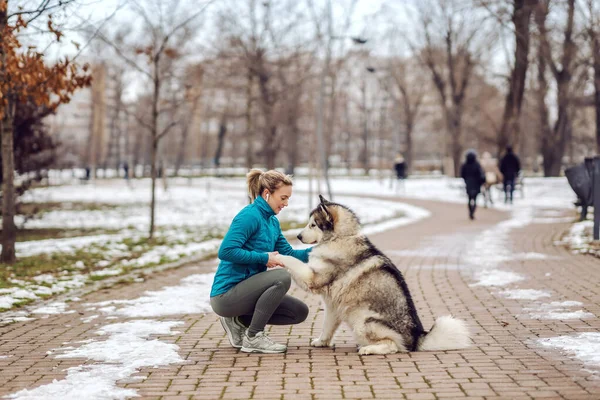 Desportista Uma Caminhada Com Seu Cão Parque Tempo Frio Neve — Fotografia de Stock