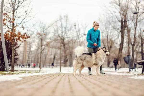 Desportista Parque Com Seu Cão Dia Inverno Nevado Aptidão Inverno — Fotografia de Stock