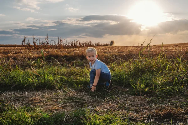 Pequeño Granjero Lindo Agachándose Campo Maíz Mirando Cámara Fondo Cosecha — Foto de Stock